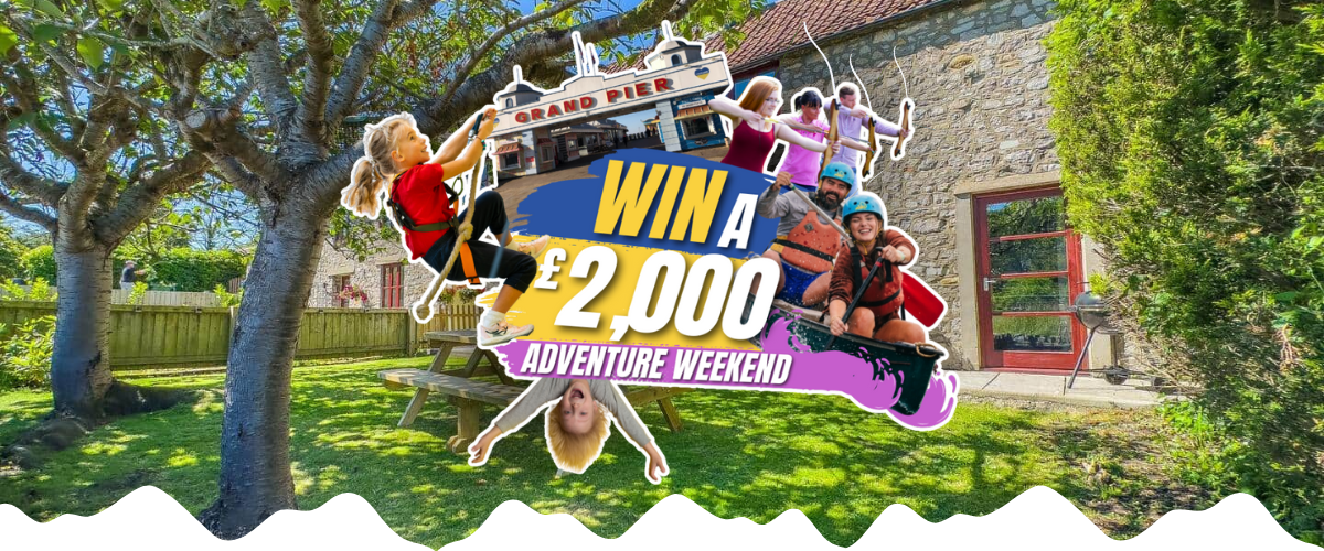 WestonComp_Header (1)